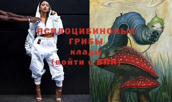 меф Арсеньев