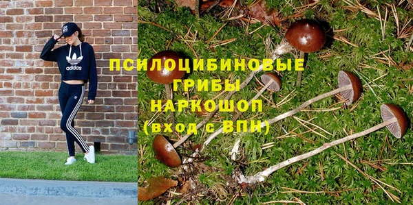 меф Арсеньев