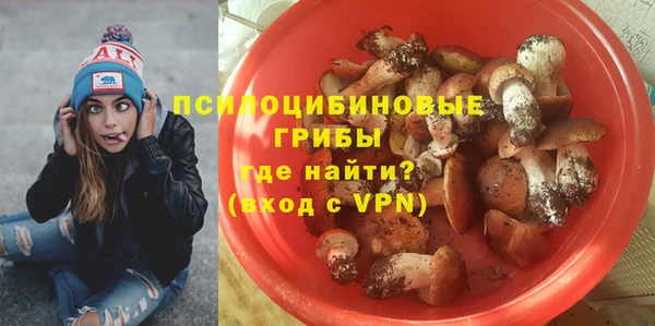 меф Арсеньев