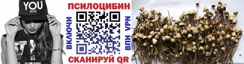 мега рабочий сайт  Окуловка  Псилоцибиновые грибы Psilocybine cubensis 